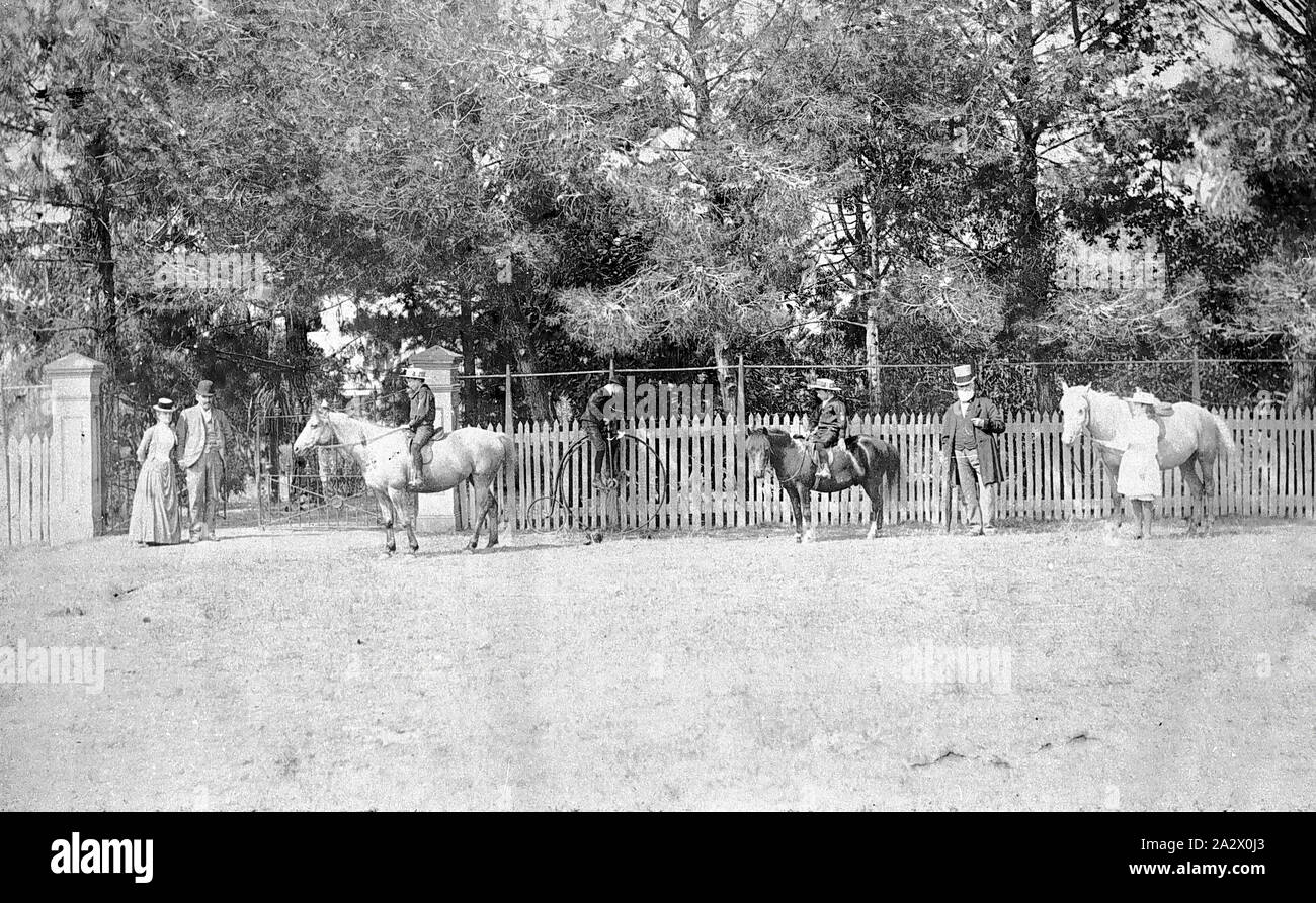 Negative - Group at Warrock' Station, Casterton District, Victoria, circa 1900, Family group by the front gates of 'Warrock' station. Three children are on horseback and one on a penny farthing Stock Photo