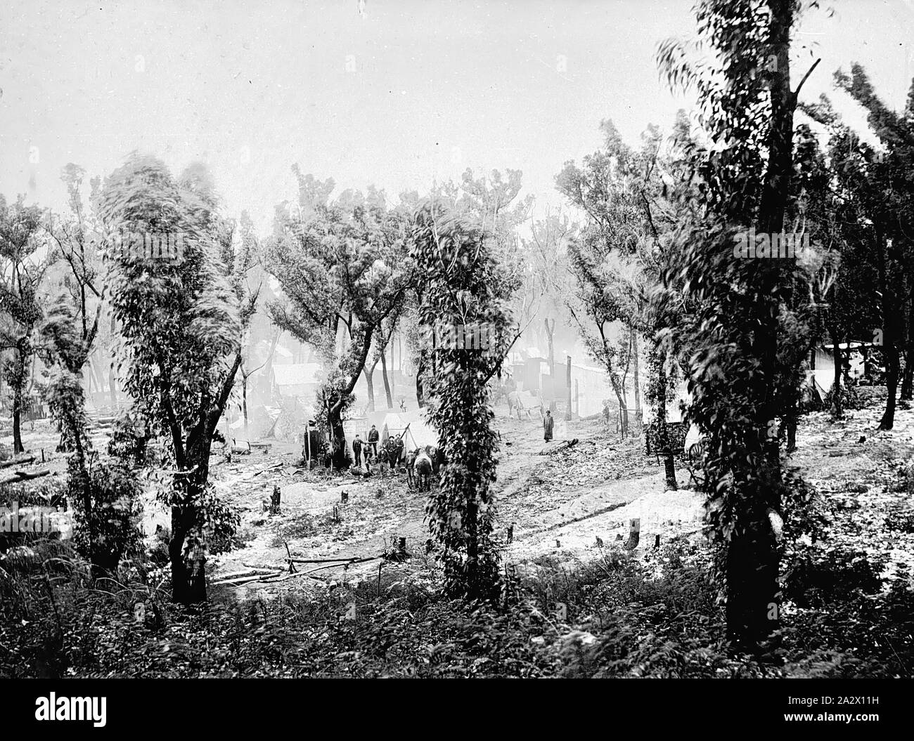 Negative - Mafeking, Victoria, circa 1895, Miners and a camp in partially cleared bush Stock Photo