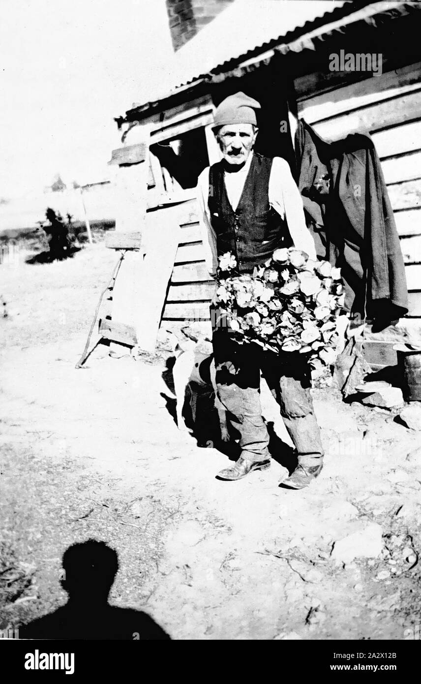 Negative - Flora Hill, Bendigo, Victoria, circa 1933, A man who made a living in the Depression by making and selling paper flowers. He was known only as the 'Poppy maker'. He is leaving his hut which was on James Cumming's dairy land Stock Photo