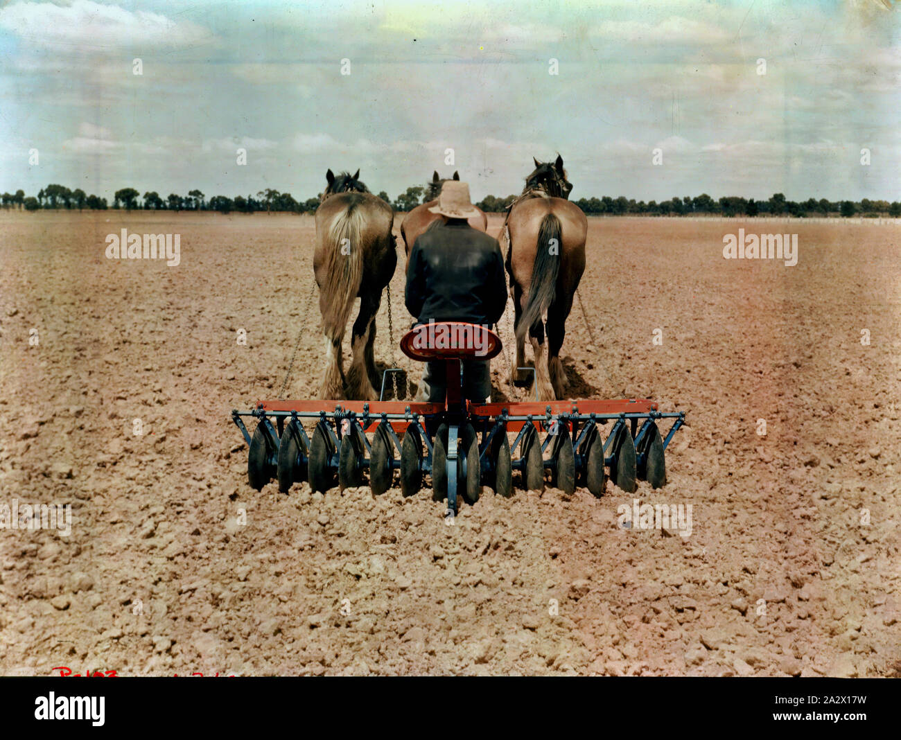 Transparency - International Harvester, Horse-Drawn Bumper Disc