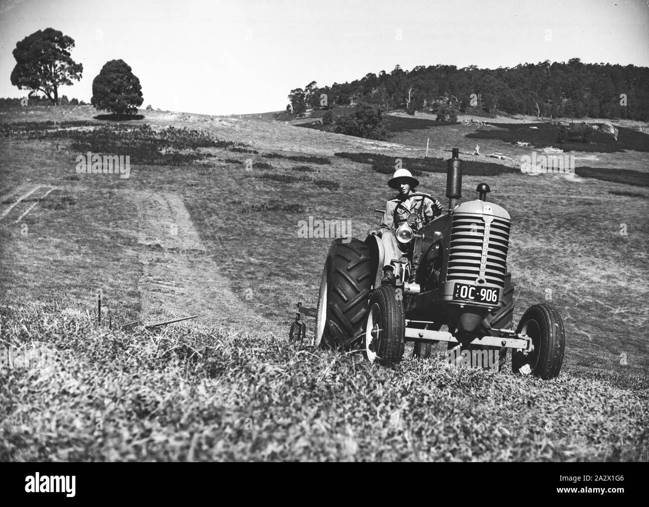 no 366 in the victorian alpine country a sunshine power drive mower coupled to sunshine massey harris tractor cutting meadow hay on the farm Stock Photo