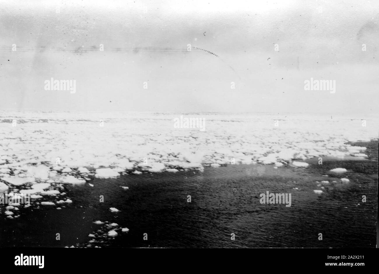 Biscoe island hires stock photography and images Alamy