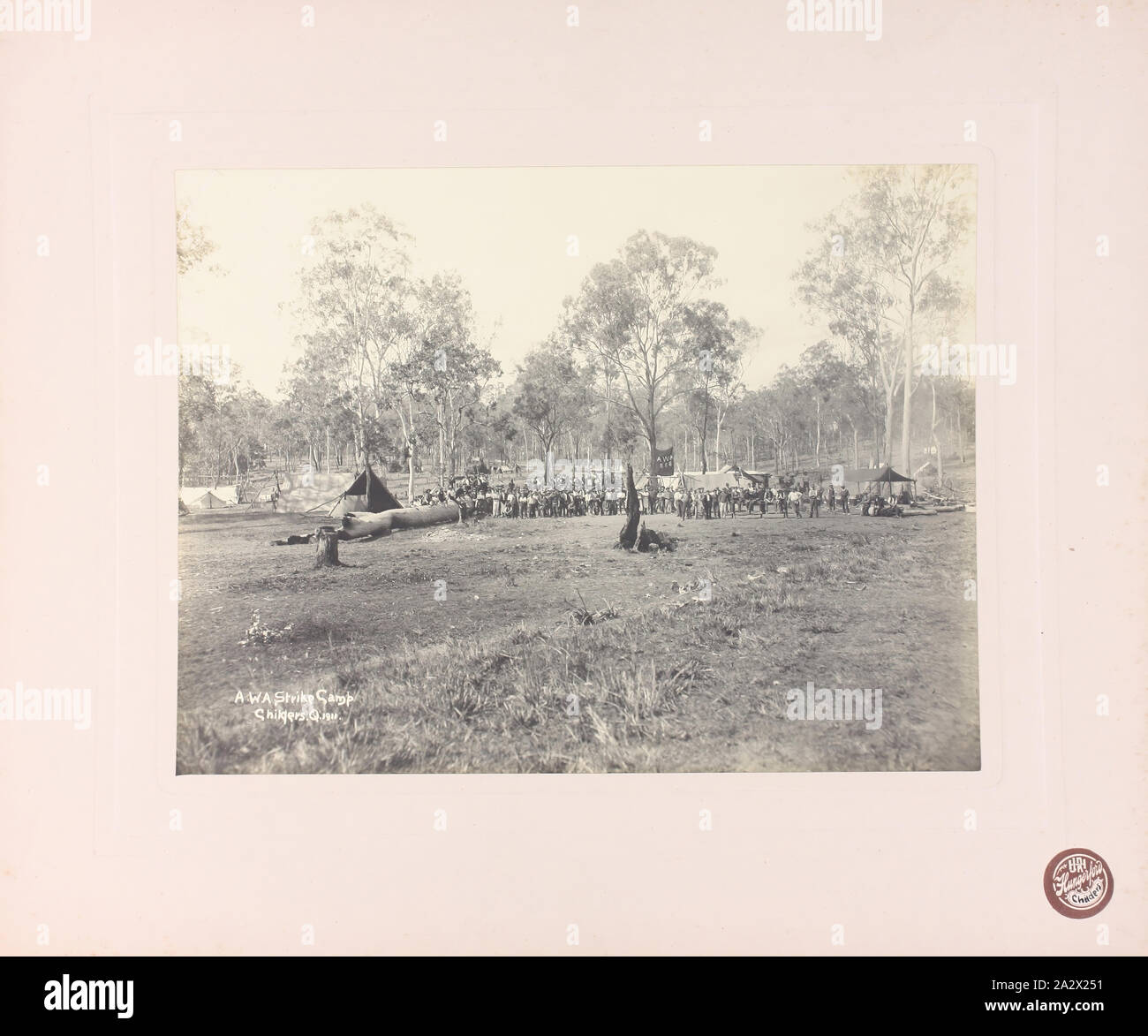 Photograph Amalgamated Workers Association Strike Camp, Childers, Queensland, 1911, Mounted
