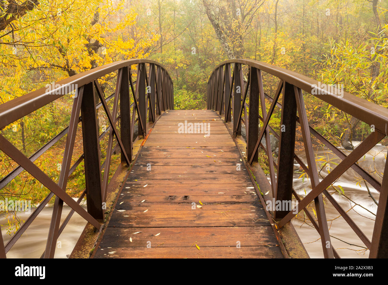 Footbridge Over Creek In The Woods In Autumn Stock Photo