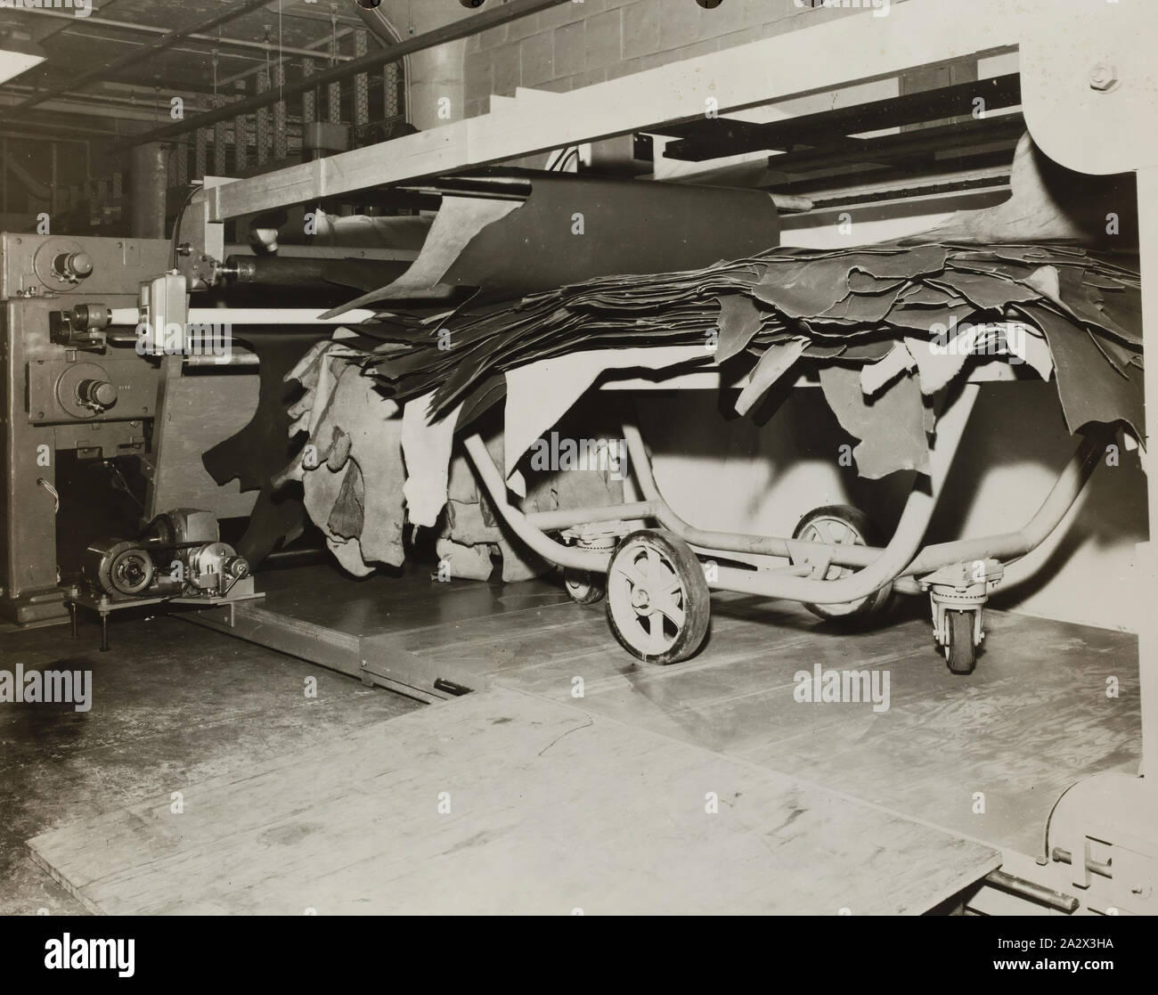 Photograph Interior of Tanning Factory, Waukegan, Illinois, United