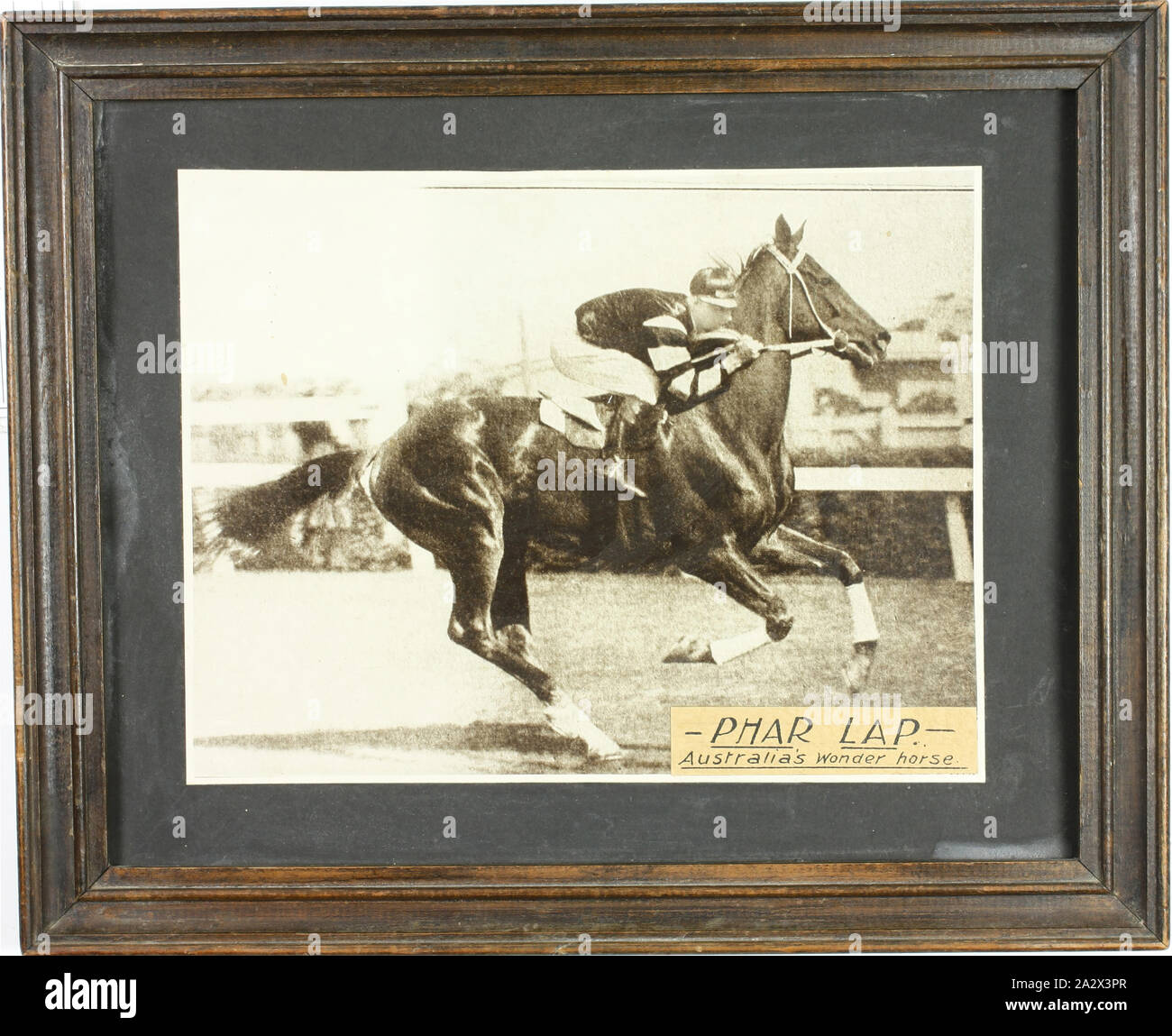 Photograph - Jimmy Pike & Phar Lap Racing, Framed, 1930s, Framed magazine photograph of Jim Pike riding on the back of Phar Lap during a horse race. He is wearing the black and white Telford silks Stock Photo