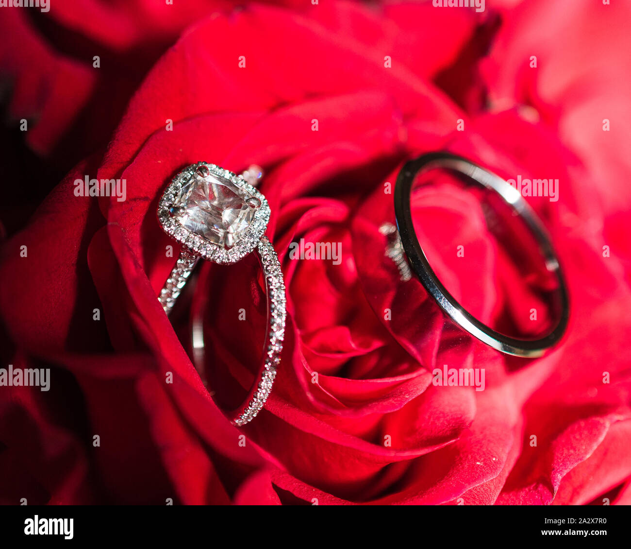 Red Roses And Rings Red Rose Flower Bouquet With Engagement Rings Stock Photo - Alamy