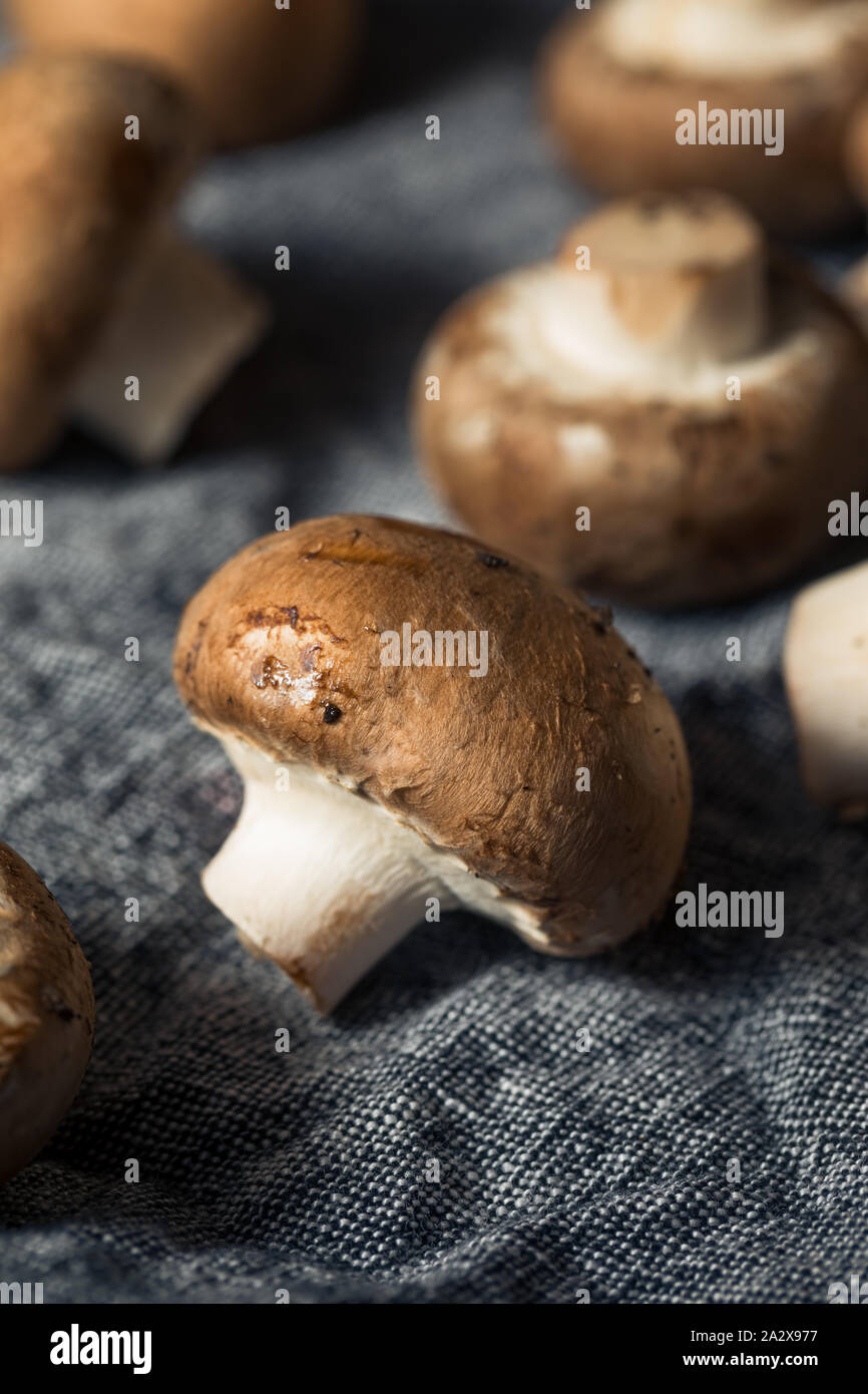 Raw Organic Baby Bella Mushrooms Ready to Cook Stock Photo Alamy