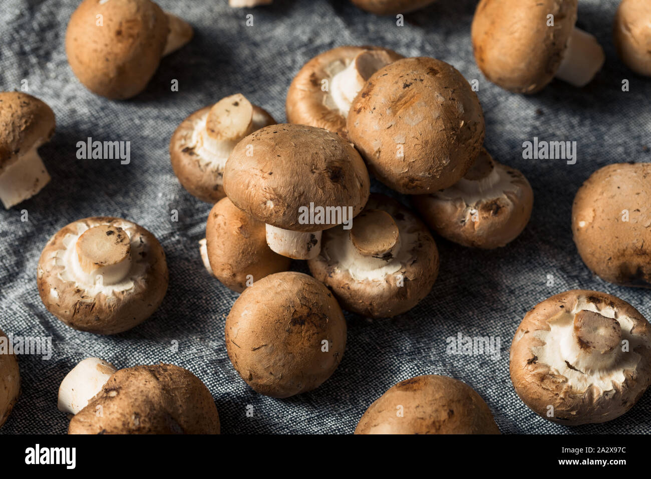 Raw Organic Baby Bella Mushrooms Ready to Cook Stock Photo Alamy