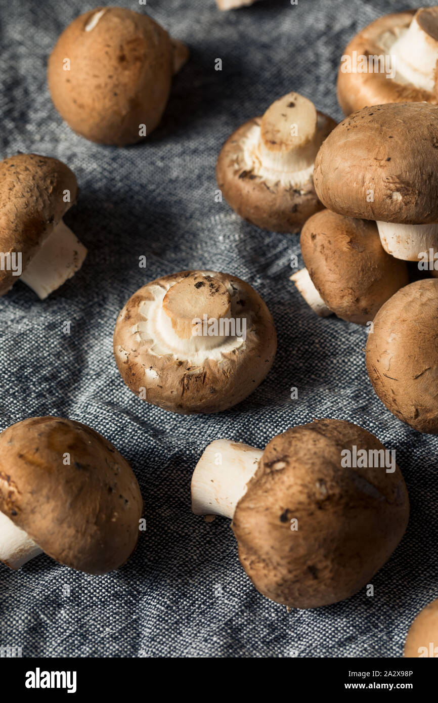 Raw Organic Baby Bella Mushrooms Ready to Cook Stock Photo Alamy