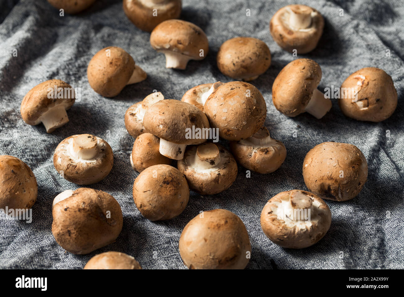Raw Organic Baby Bella Mushrooms Ready to Cook Stock Photo Alamy