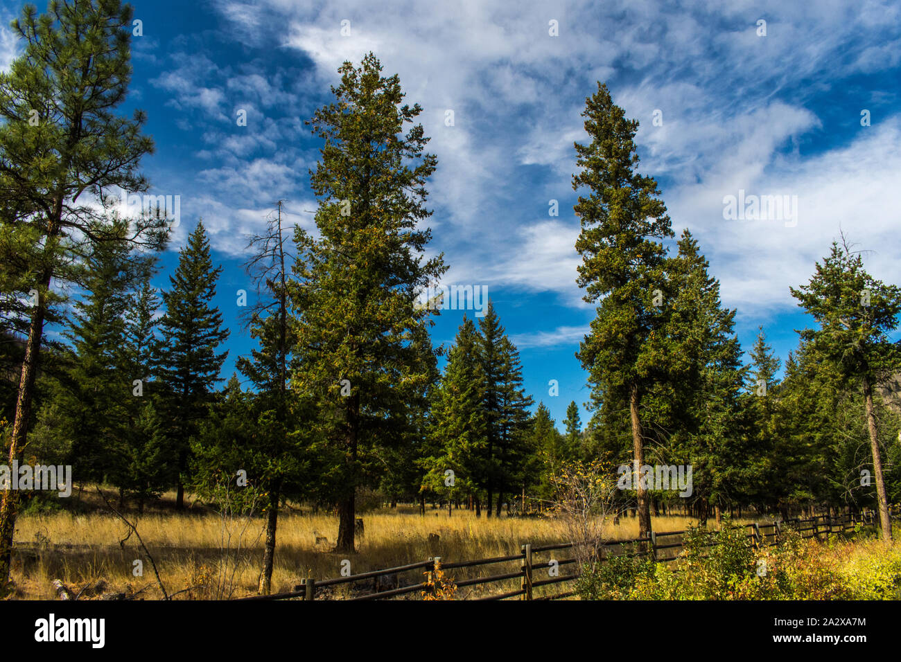 Loon lake hires stock photography and images Alamy