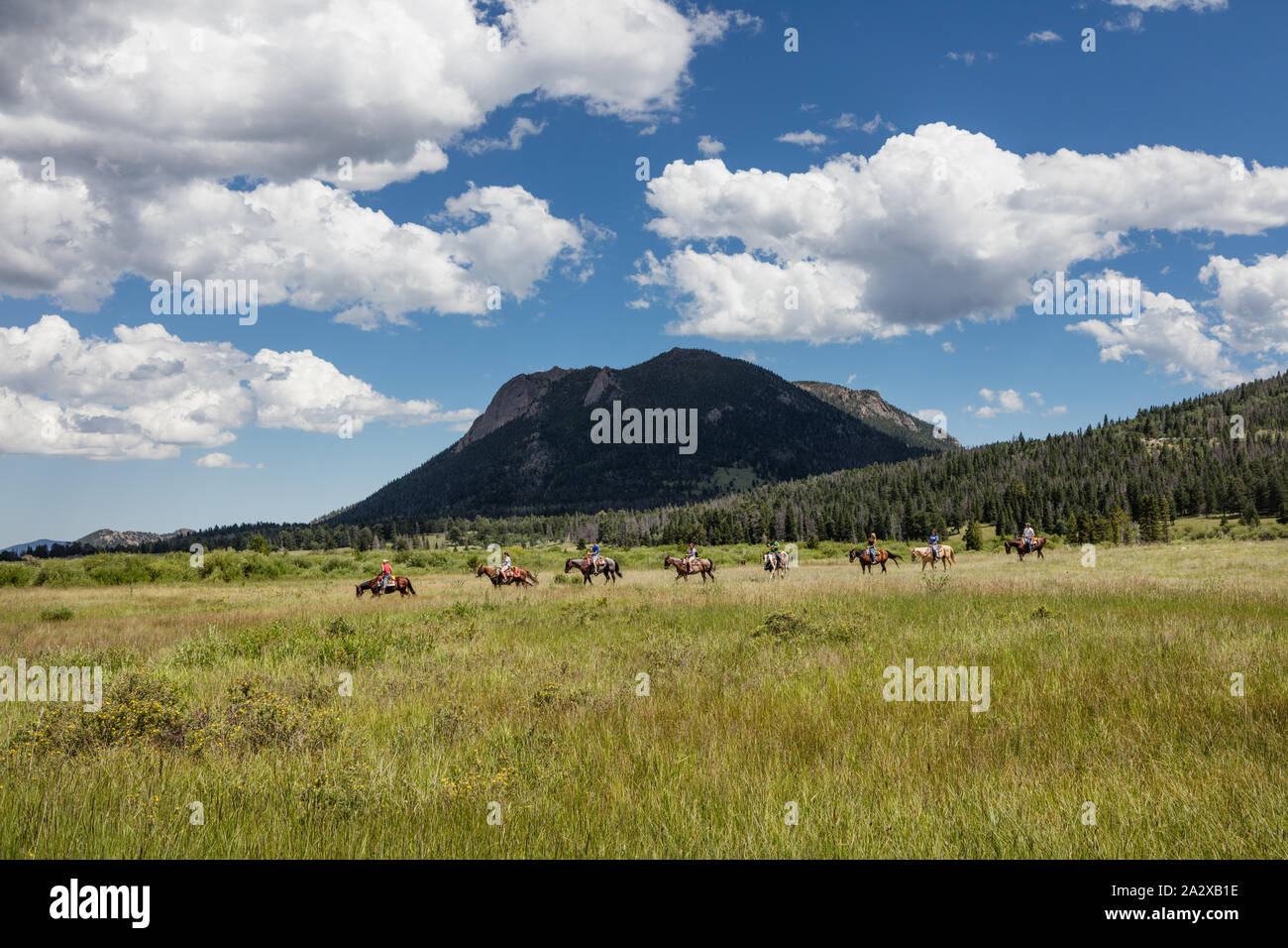 Riders on horseback cross a lush meadow in Rocky Mountain National Park in the Front Range of the spectacular and high Rockies in north-central Colorado Stock Photo