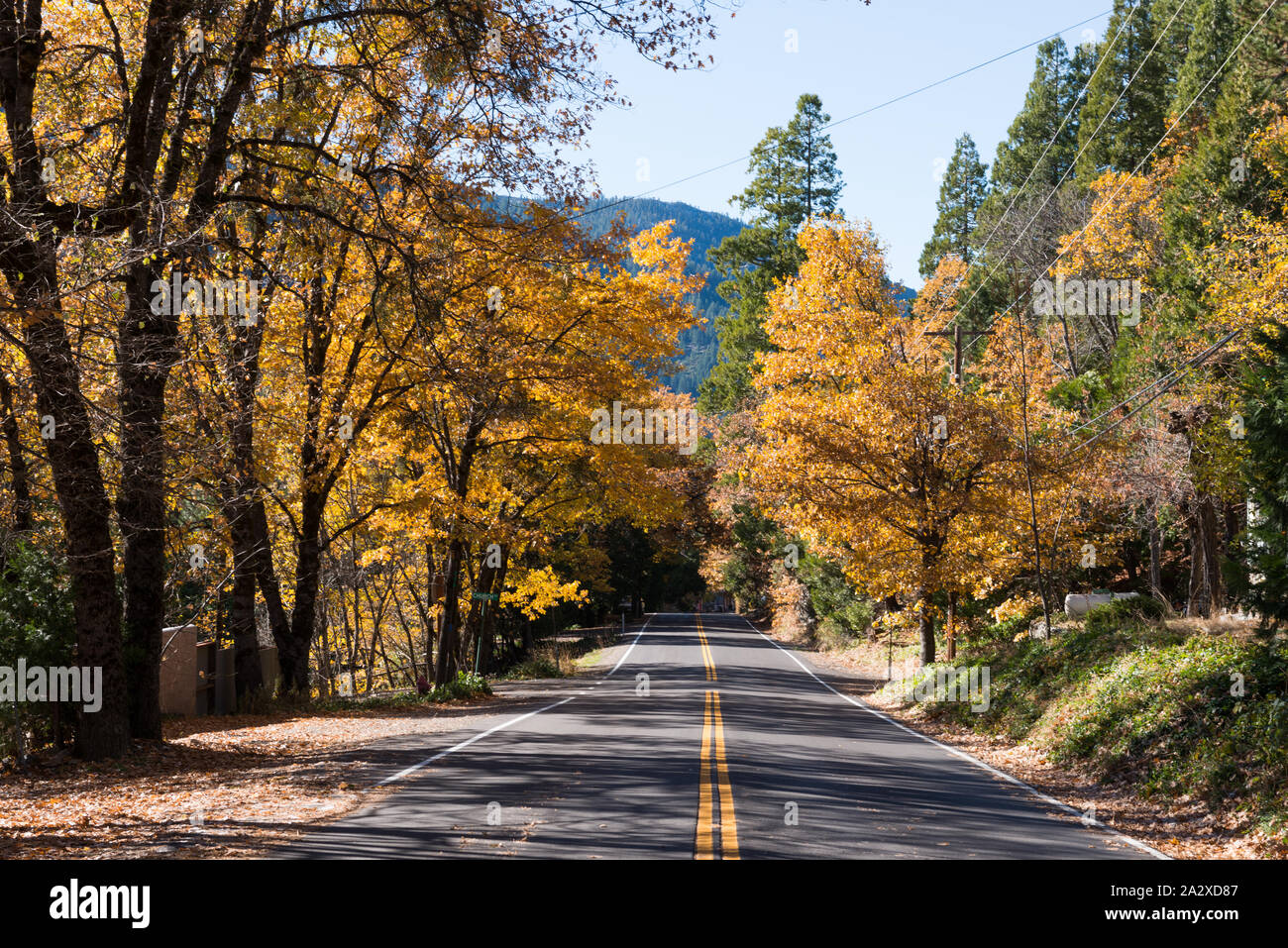 Road, Sierra City, California Stock Photo Alamy