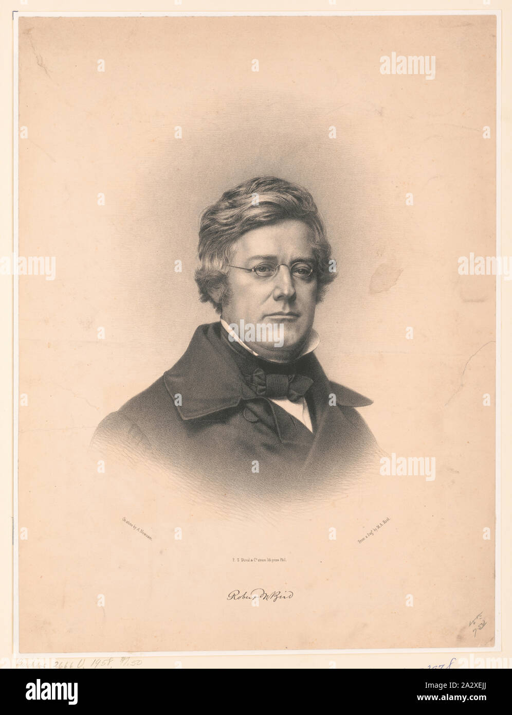 M bird hires stock photography and images Alamy