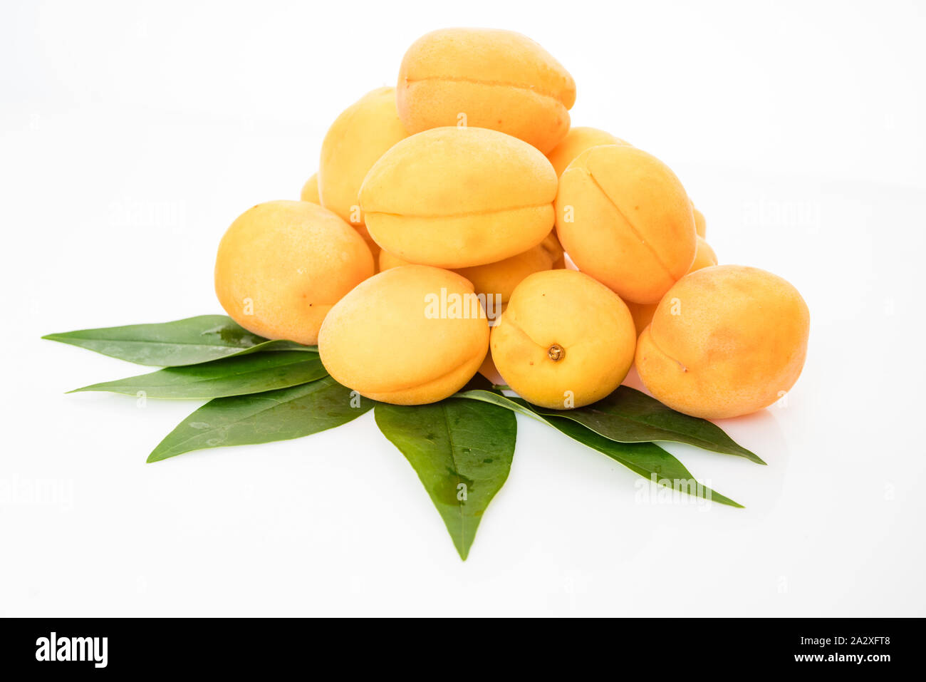 Apricot fruit with leaf isolated on white background Stock Photo - Alamy