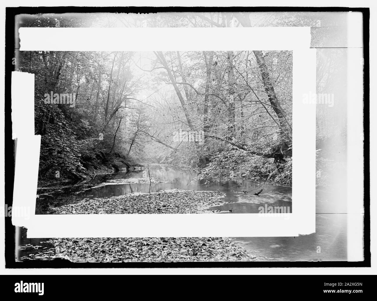 Rock Creek Park Stock Photo - Alamy