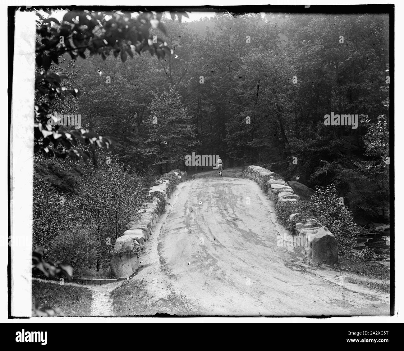 Rock Creek Park Stock Photo - Alamy