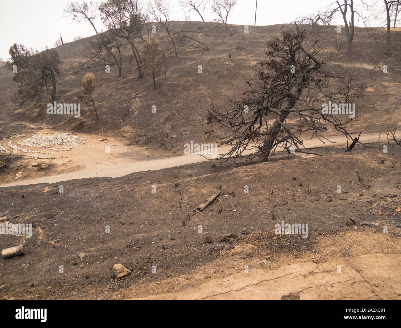 Daytime wide angle view of Grant Park, in Ventura, California after the 2017 Thomas Fire. Stock Photo