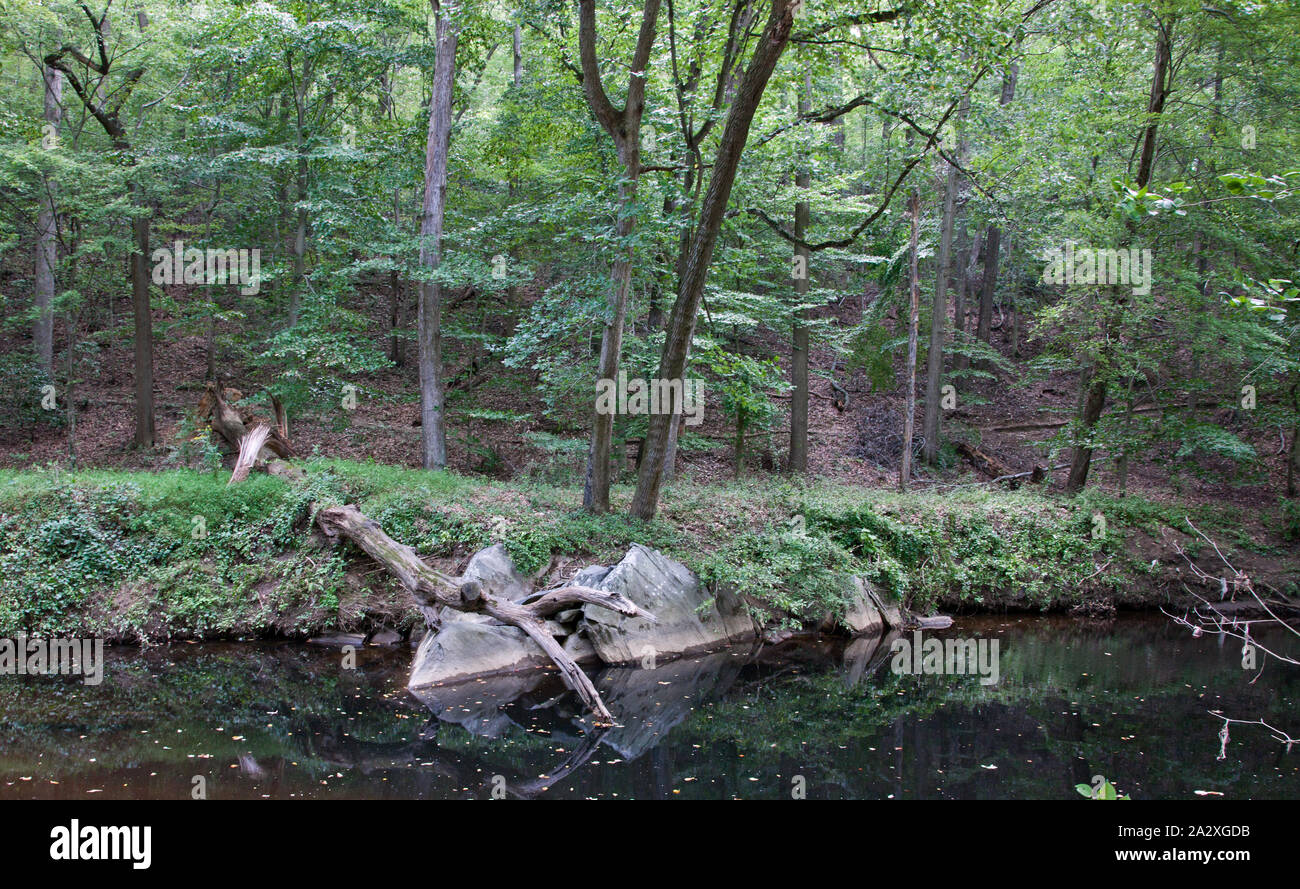 Rock creek park washington wildlife hi-res stock photography and images ...