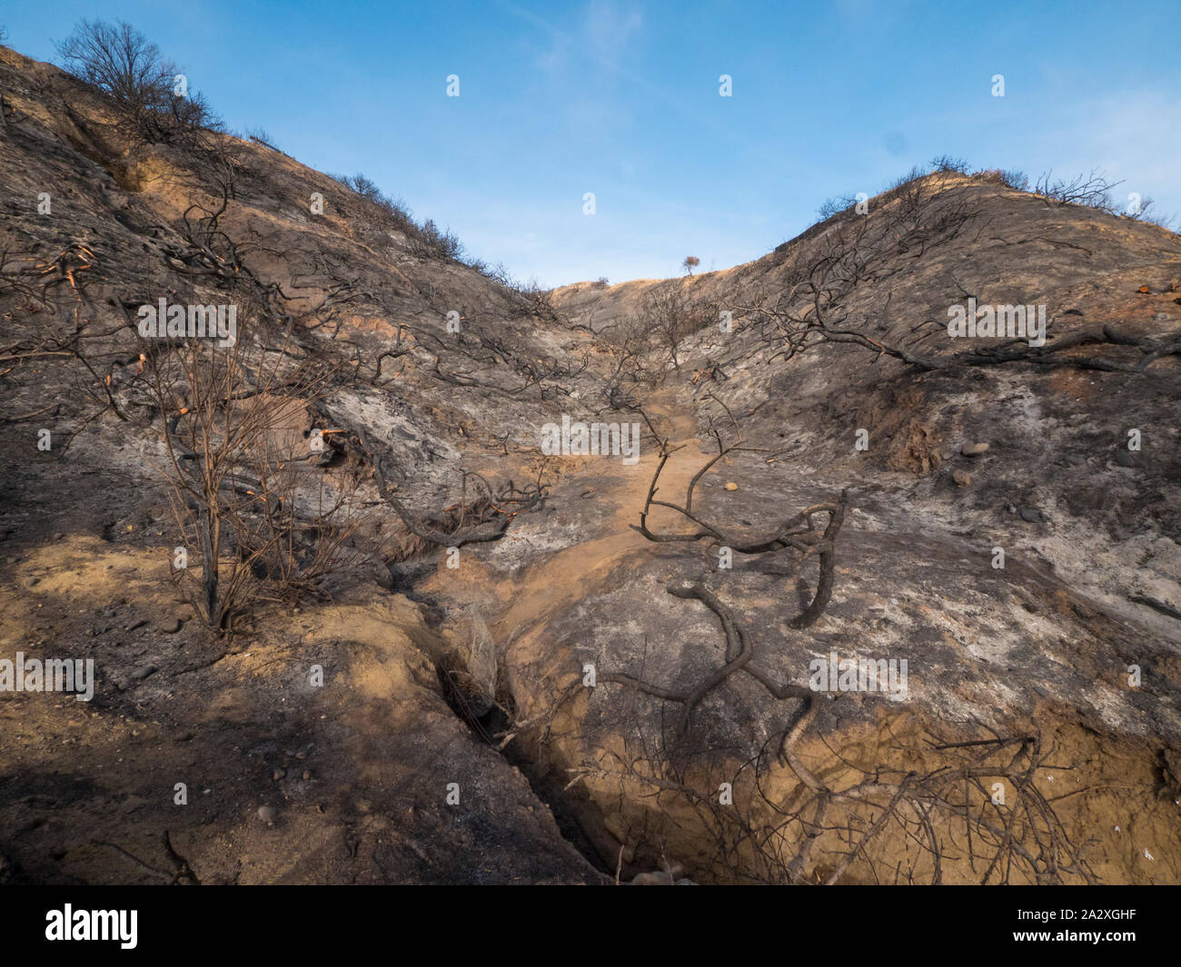 Hurricane Ridge Burned Burnt ridgeline hi-res stock photography and images - Alamy