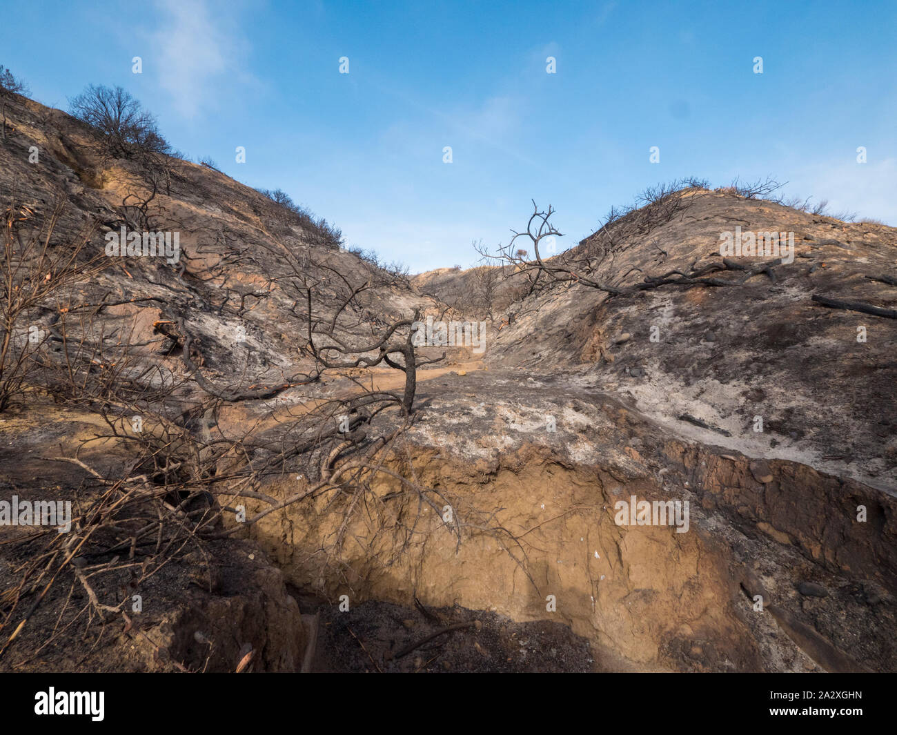 Hurricane Ridge Burned Burnt ridgeline hi-res stock photography and images - Alamy