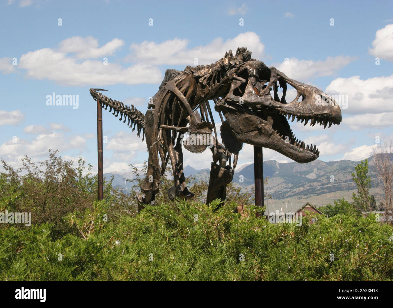 динозавры оживают. живые динозавры. живые динозавры. динозавр. революция динозавров аллозавр.