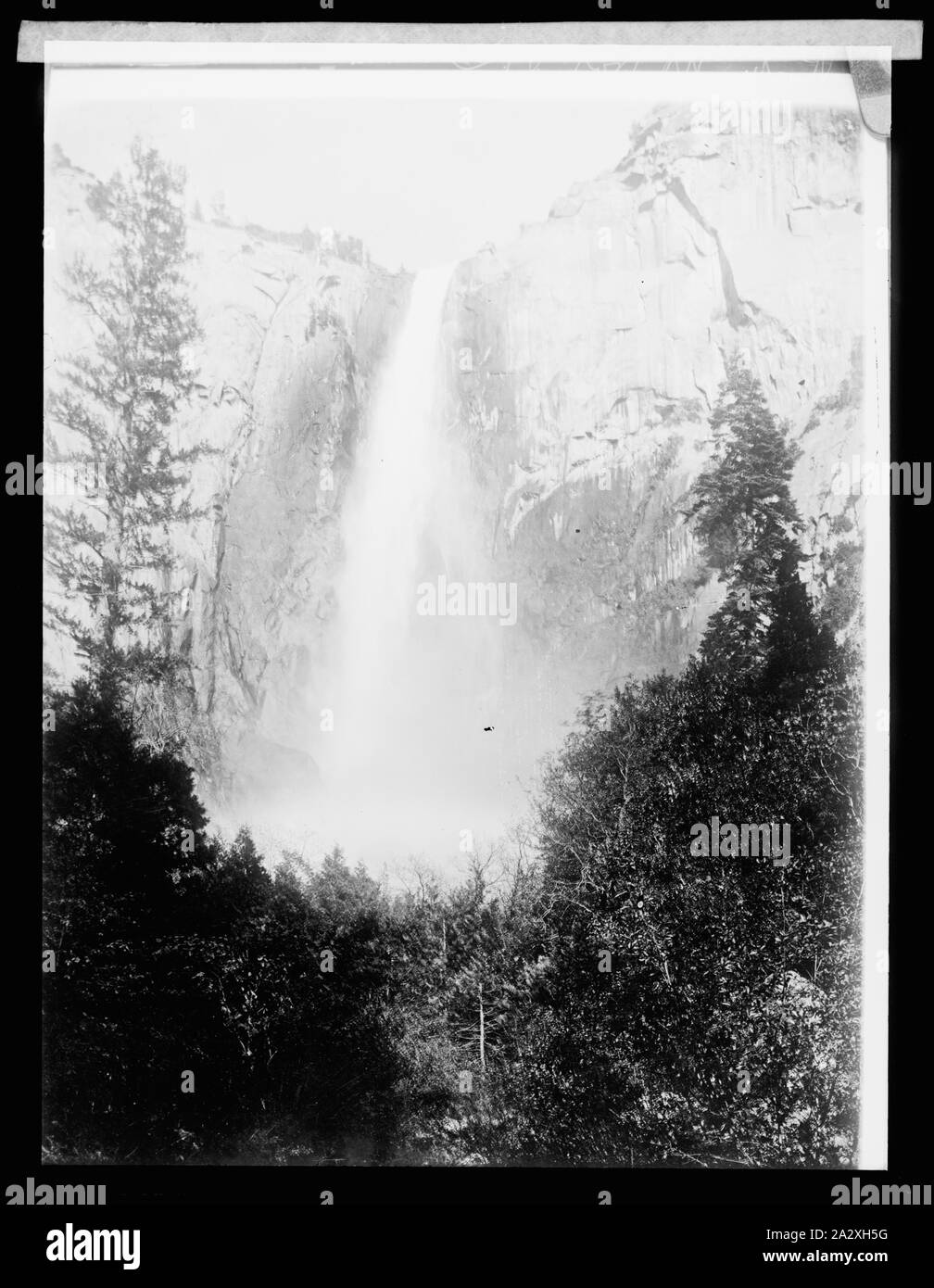 Rocky mountains wildlife Black and White Stock Photos & Images - Alamy