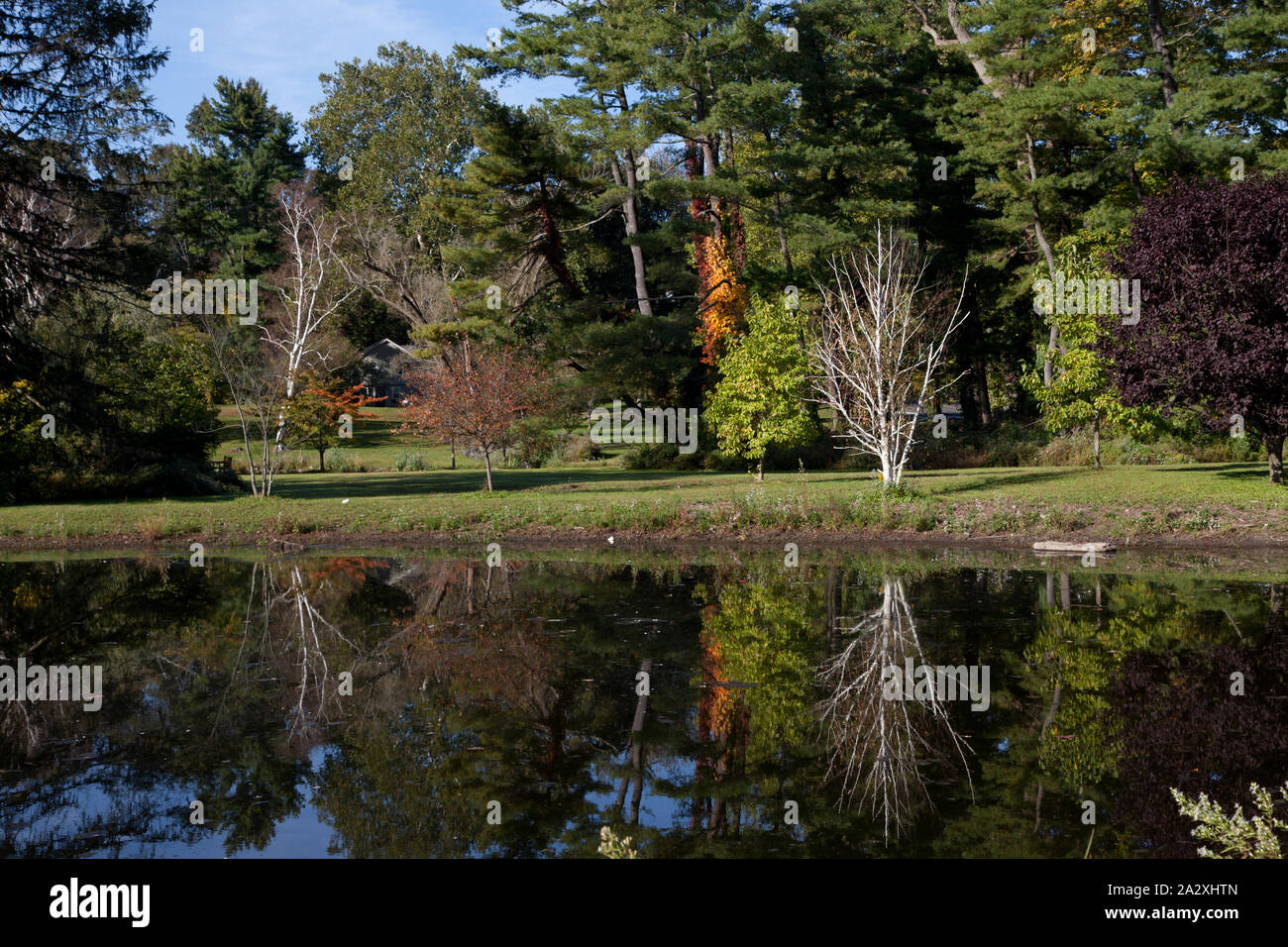 Rockwell Swamp in Mead Memorial Park, New Canaan, Connecticut Stock
