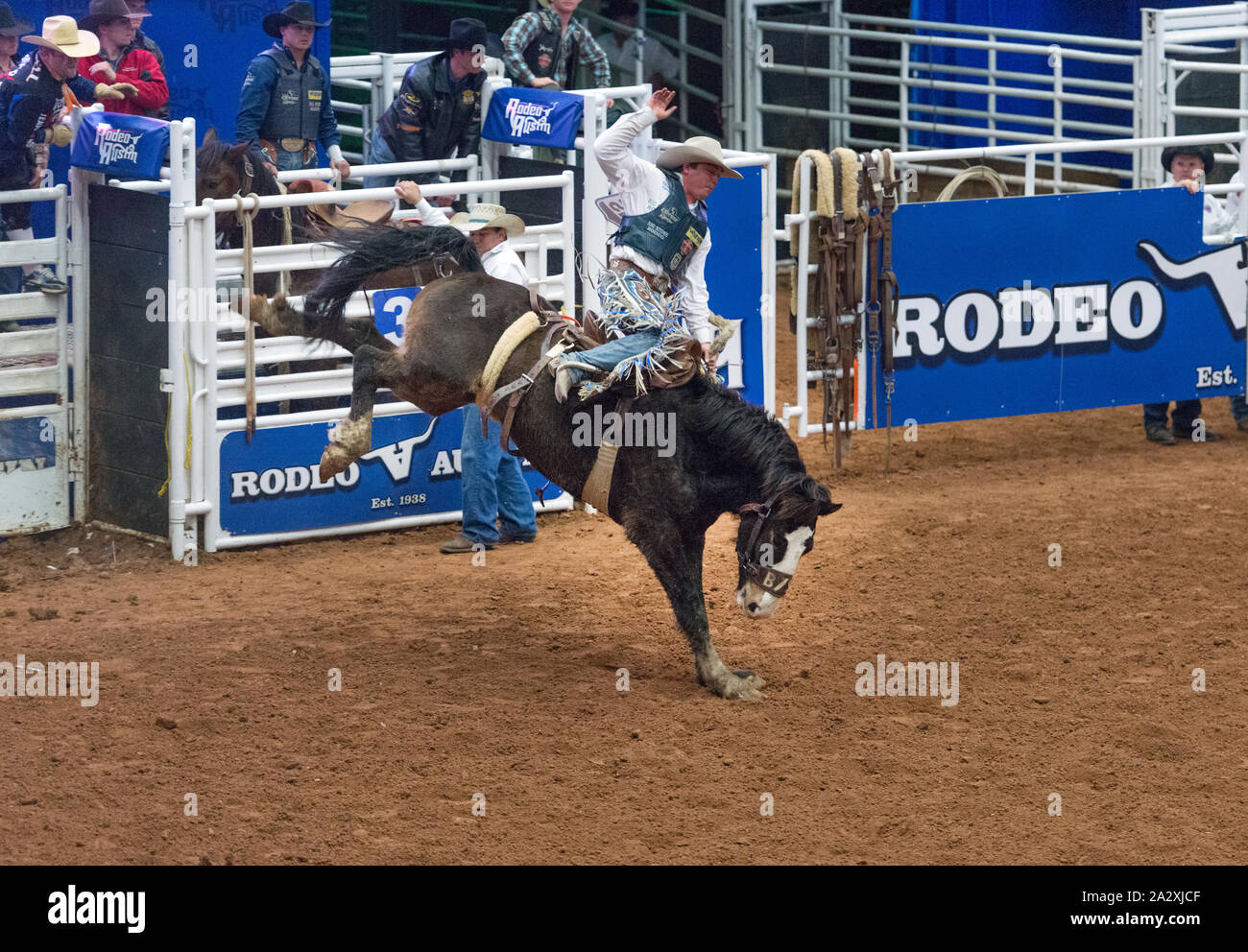 Rodeo Austin, the city's annual stock show and rodeo. Austin, Texas