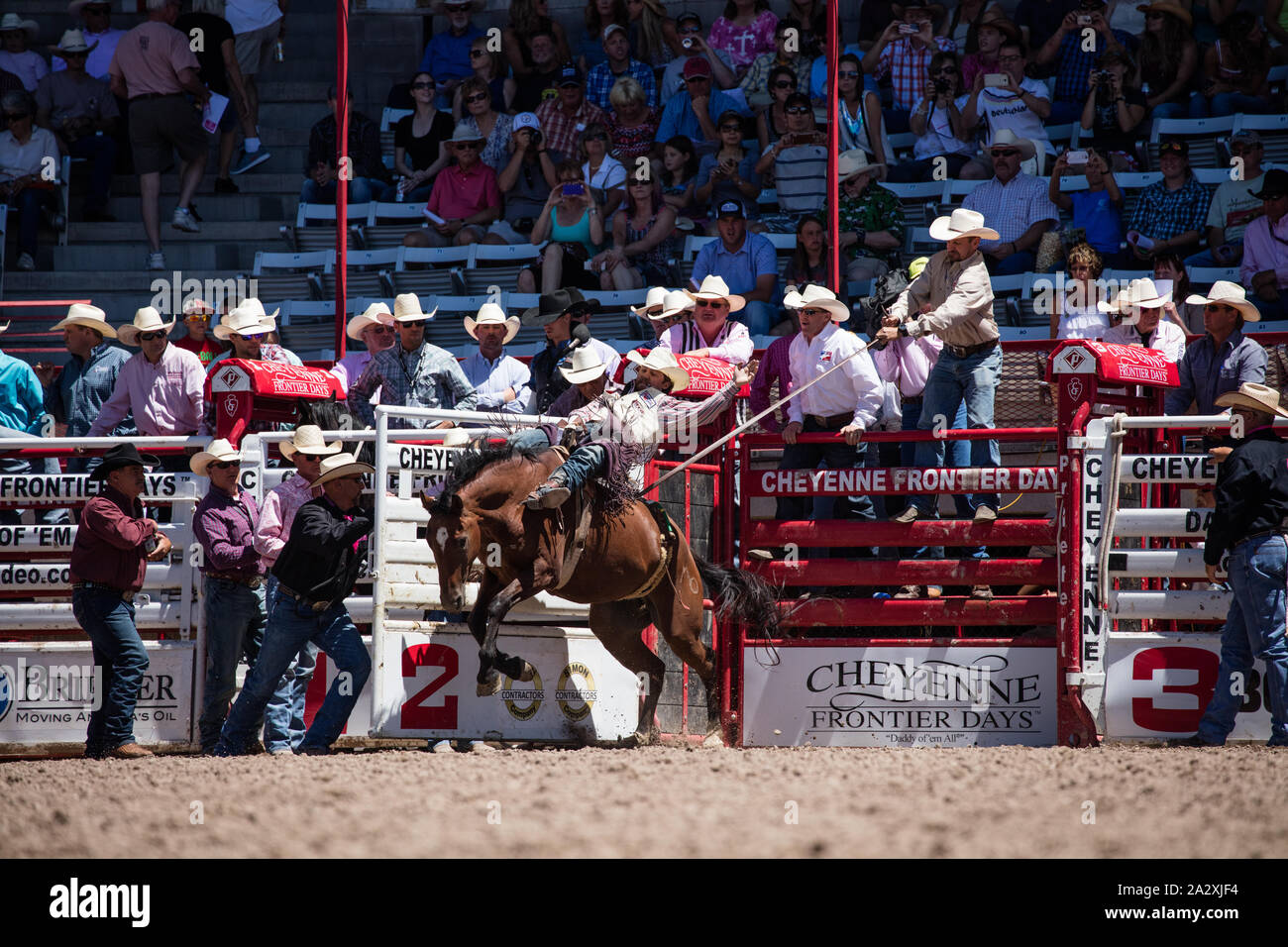 Rodeo action at the Cheyenne Frontier Days celebration in Wyoming's