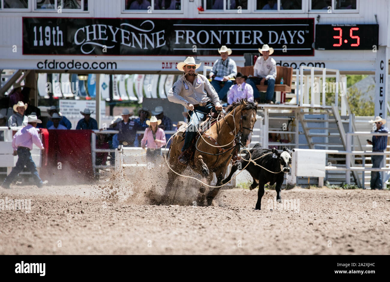 Rodeo action at the Cheyenne Frontier Days celebration in Wyoming's