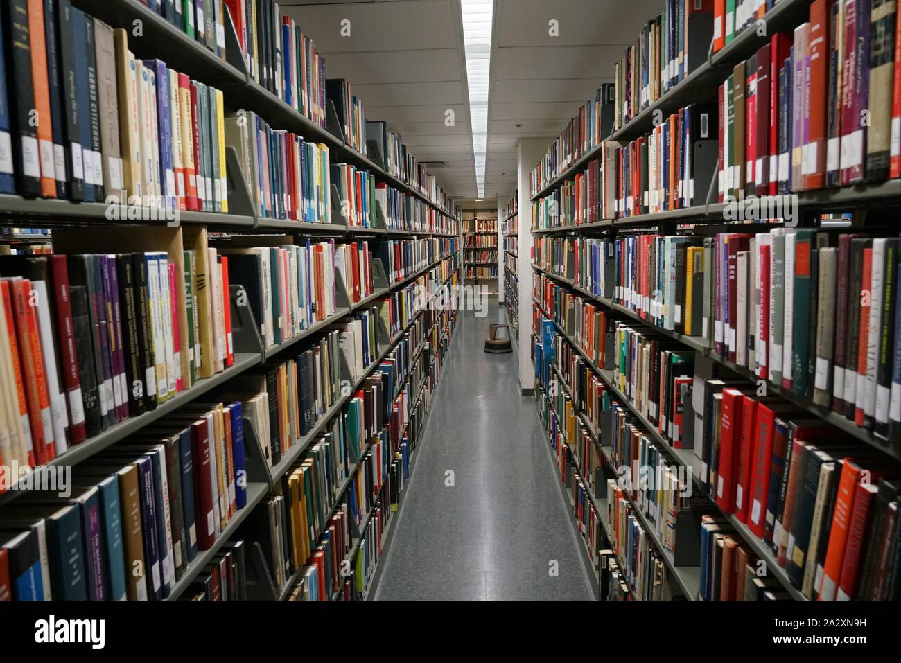 TORONTO - SEPTEMBER 2019:  Many learning resources are now on-line, but universities still maintain large volumes of printed books. Stock Photo