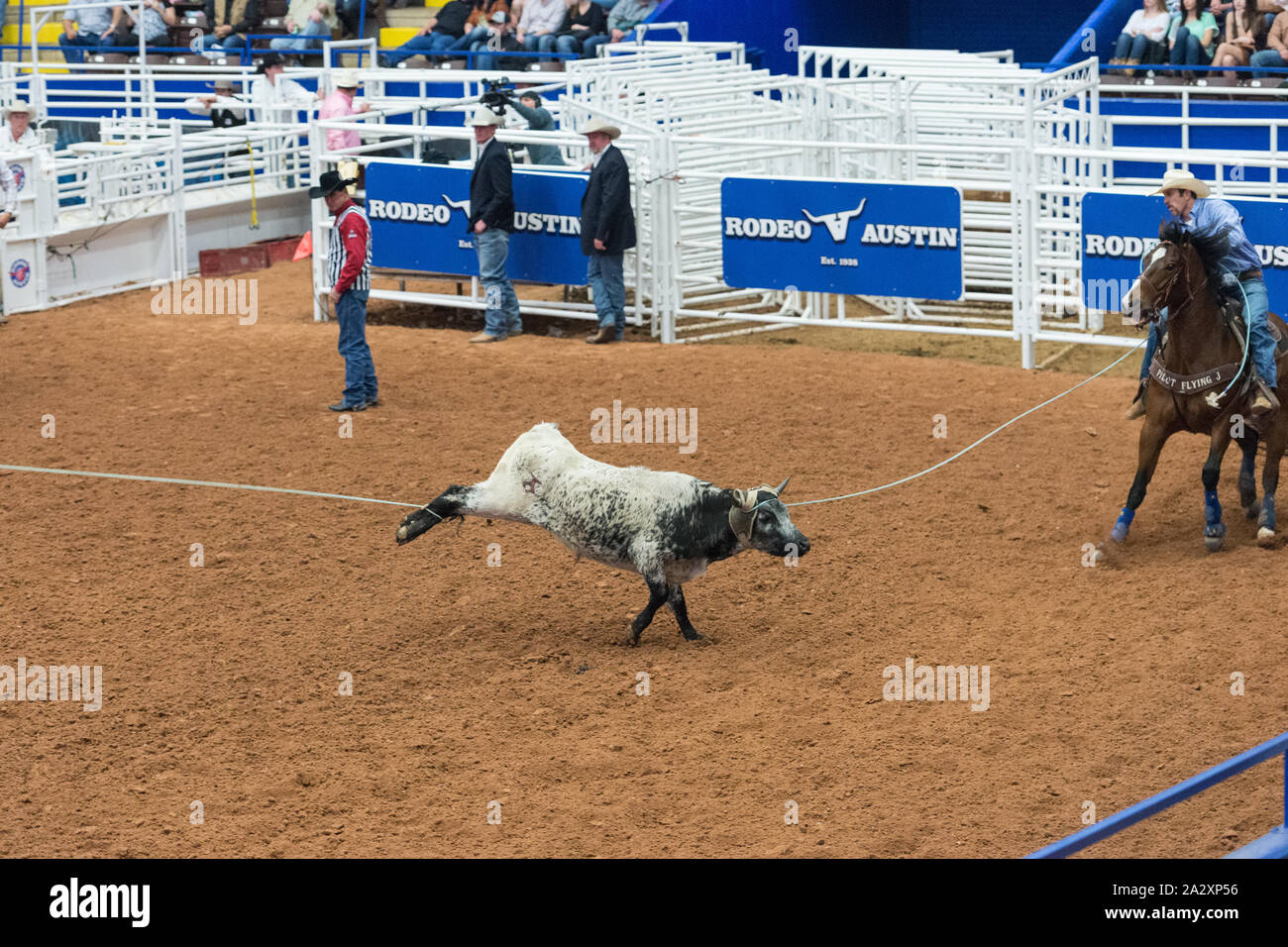 Sports in indoor hi-res stock photography and images - Alamy