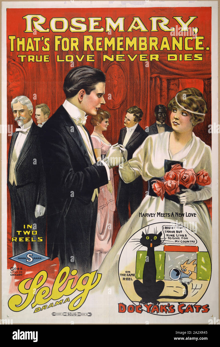 Rosemary, that's for remembrance True love never dies Stock Photo Alamy