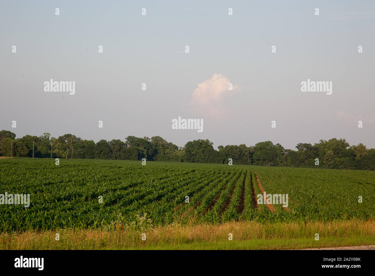 Ruralroute hi-res stock photography and images - Alamy