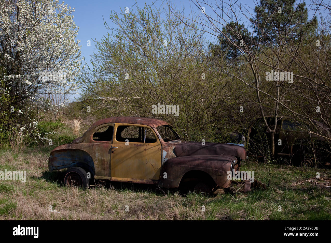 Rural Alabama in the spring Stock Photo - Alamy