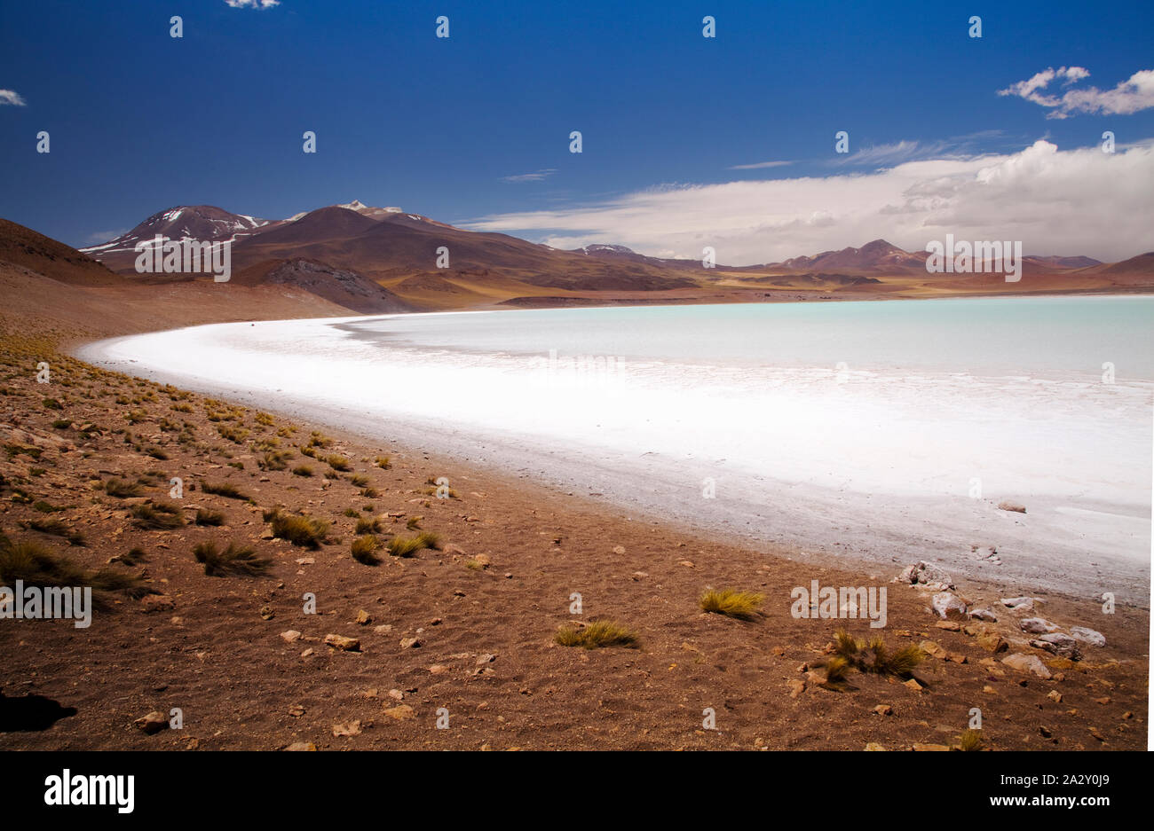 Laguna Tuyacto, Atacama Desert, Chile Stock Photo