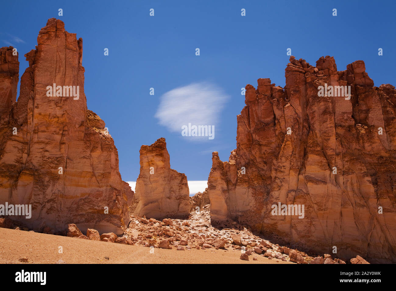 Los flamencos reserve national hi-res stock photography and images - Alamy