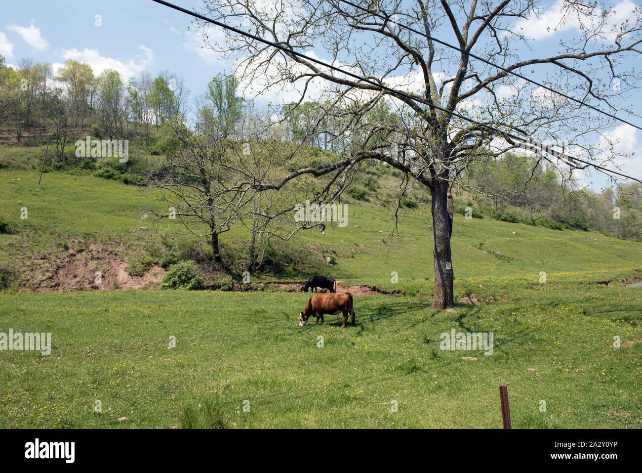 Rural scene in Roane County, West Virginia, near Gandeeville Stock Photo