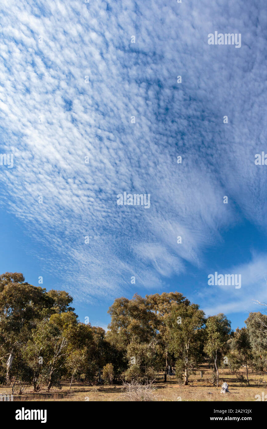 Callam High Resolution Stock Photography and Images - Alamy