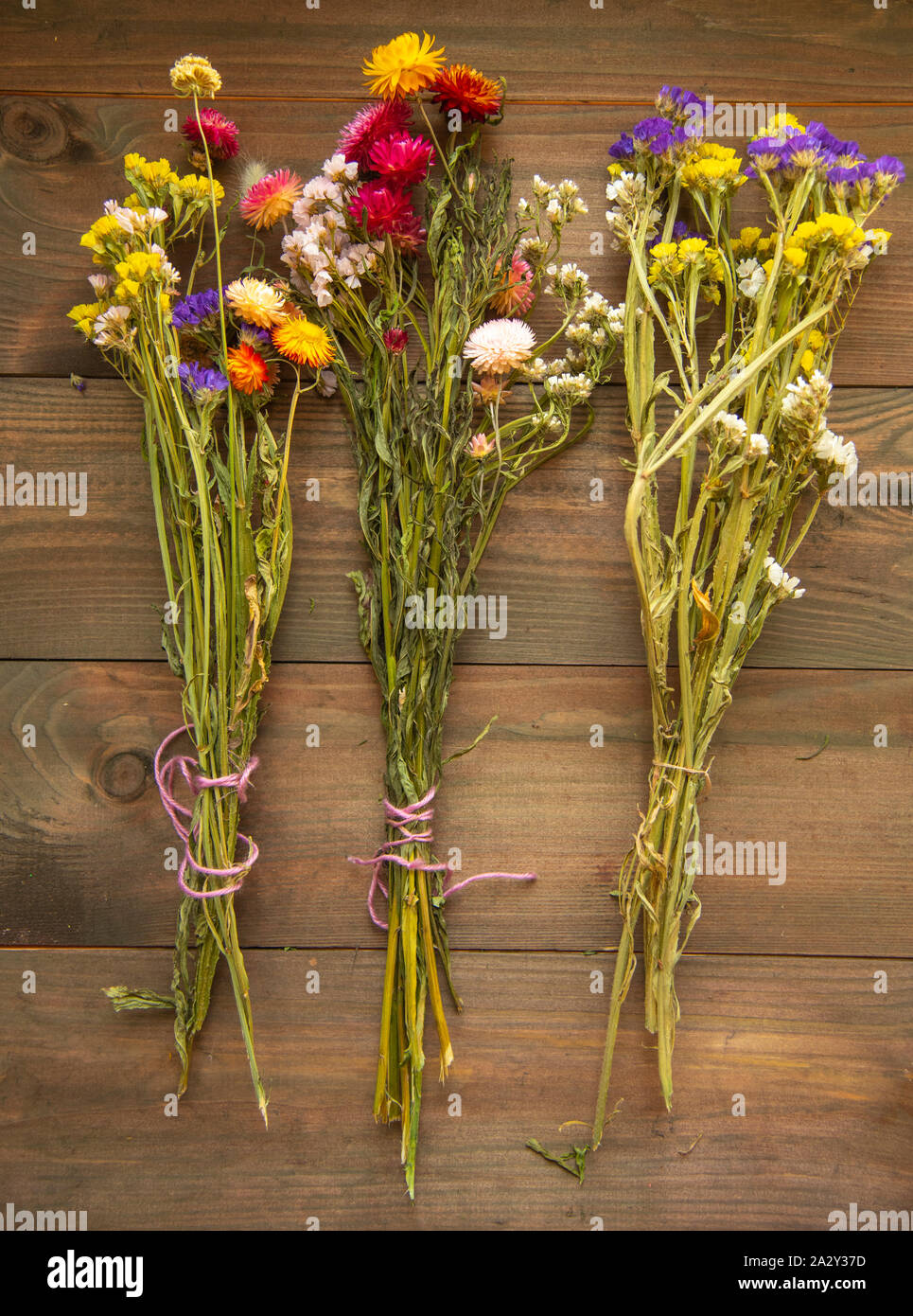 Three bright multi-colored bouquet of dried flowers on wooden background. Stock Photo