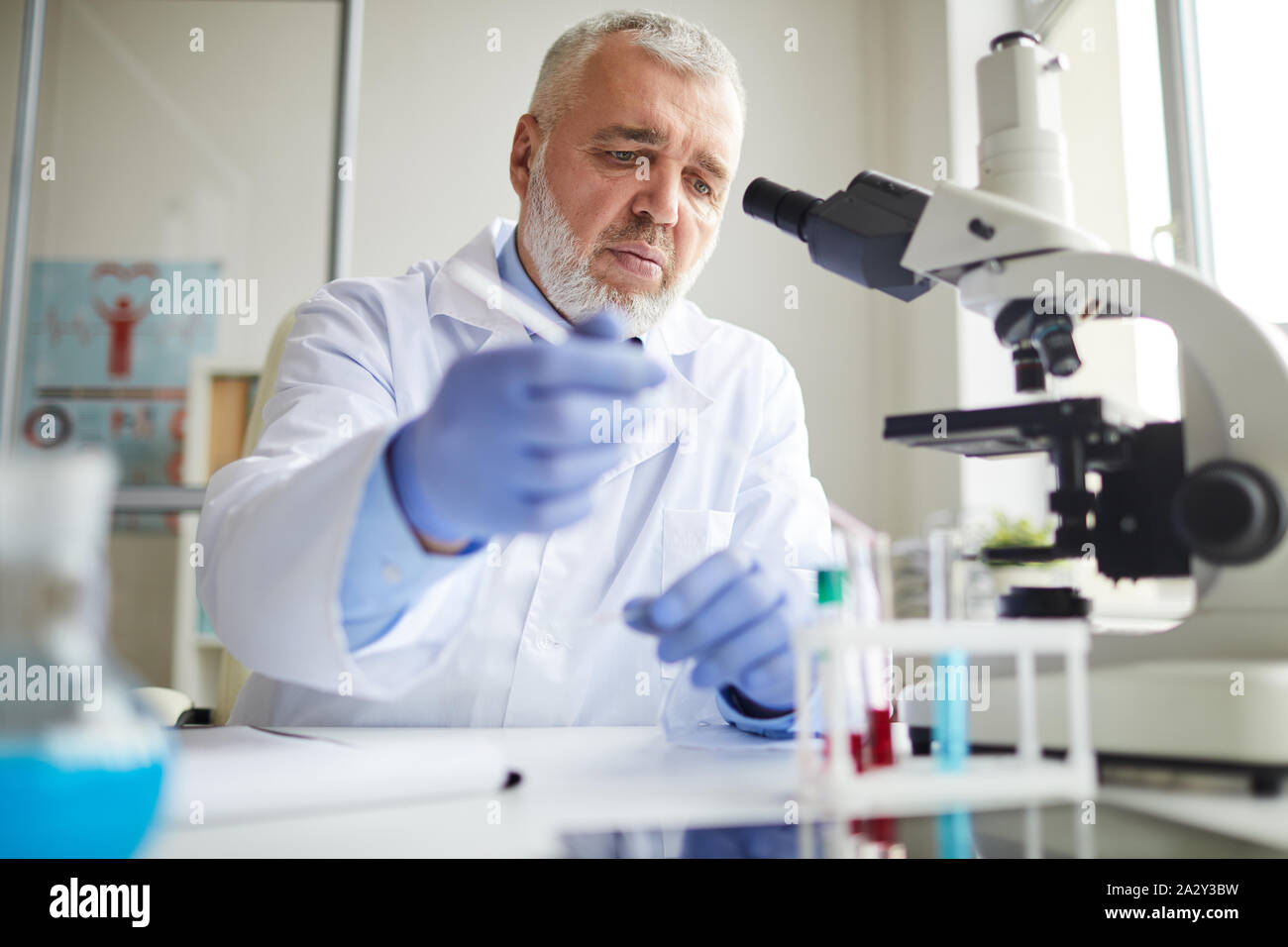 Senior scientist with grey hair sitting at the table and holding medical research with analyses at the laboratory Stock Photo