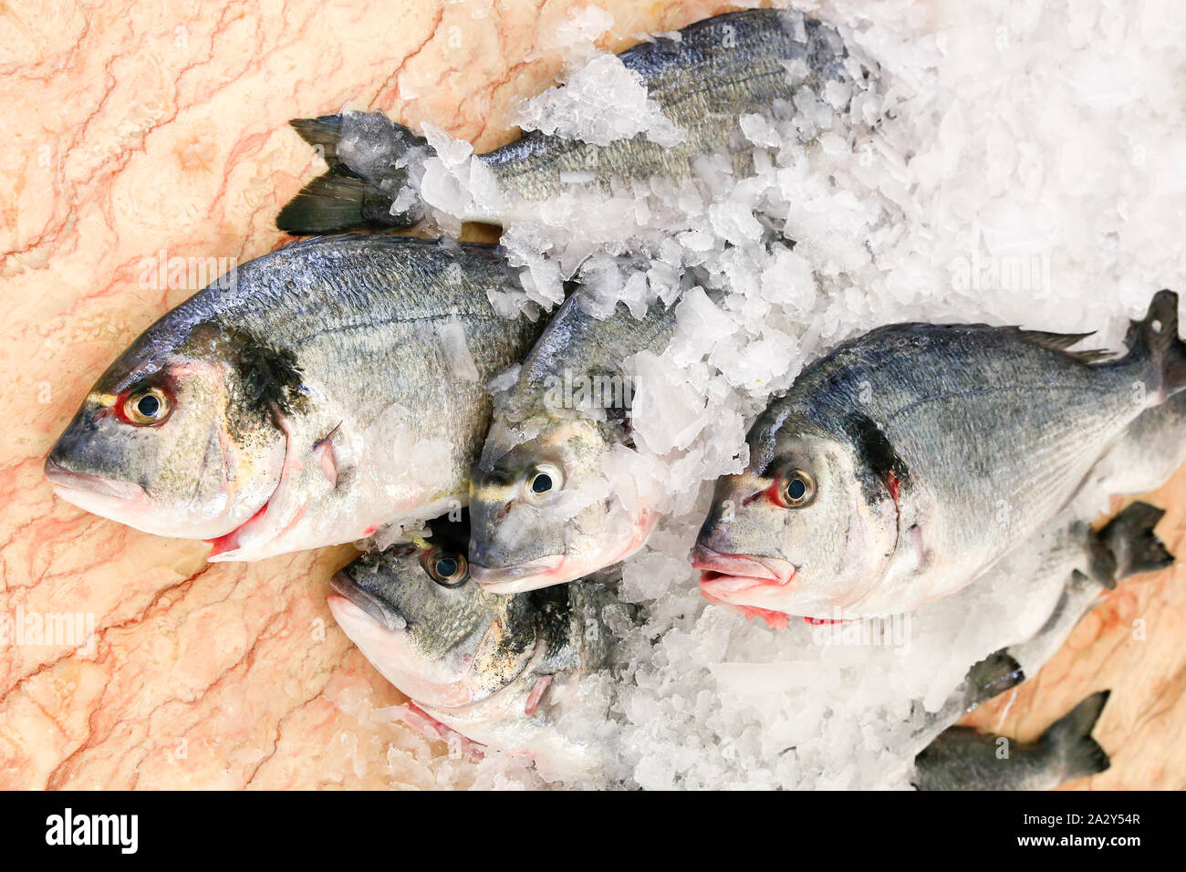 Group of saltwater fishes lying on ice at marble counter Stock Photo