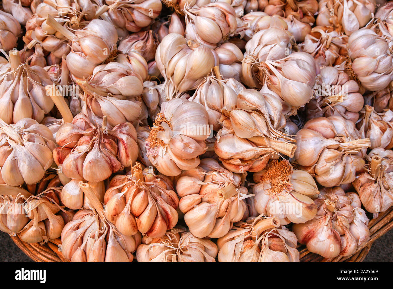 Lots of garlic bulbs for sale as vegetable at market Stock Photo Alamy