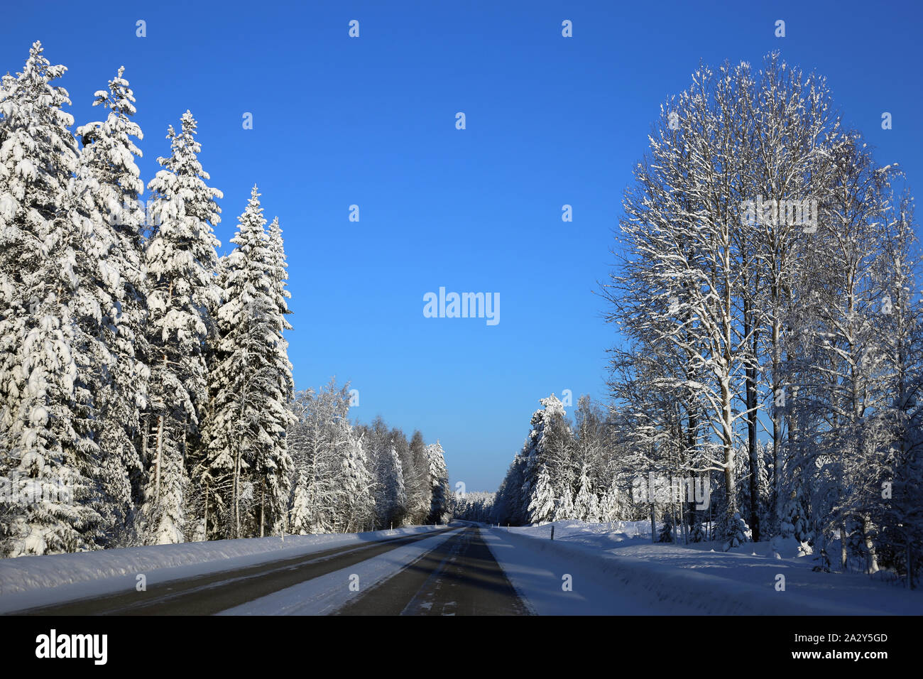 Driving in the winter wonderland called Finland during winter. In this photo you can see icy road and plenty of snow on ground and forest around it. Stock Photo