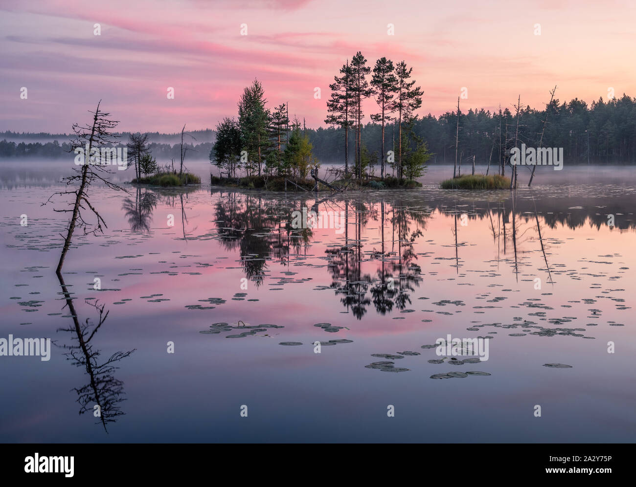 Beautiful sunrise landscape with misty mood and calm lake at foggy summer morning in Finland Stock Photo