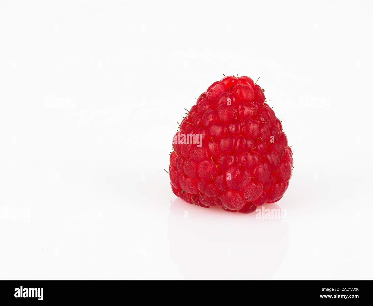 macro photo shoot of one raspberry on an opaque white background ...