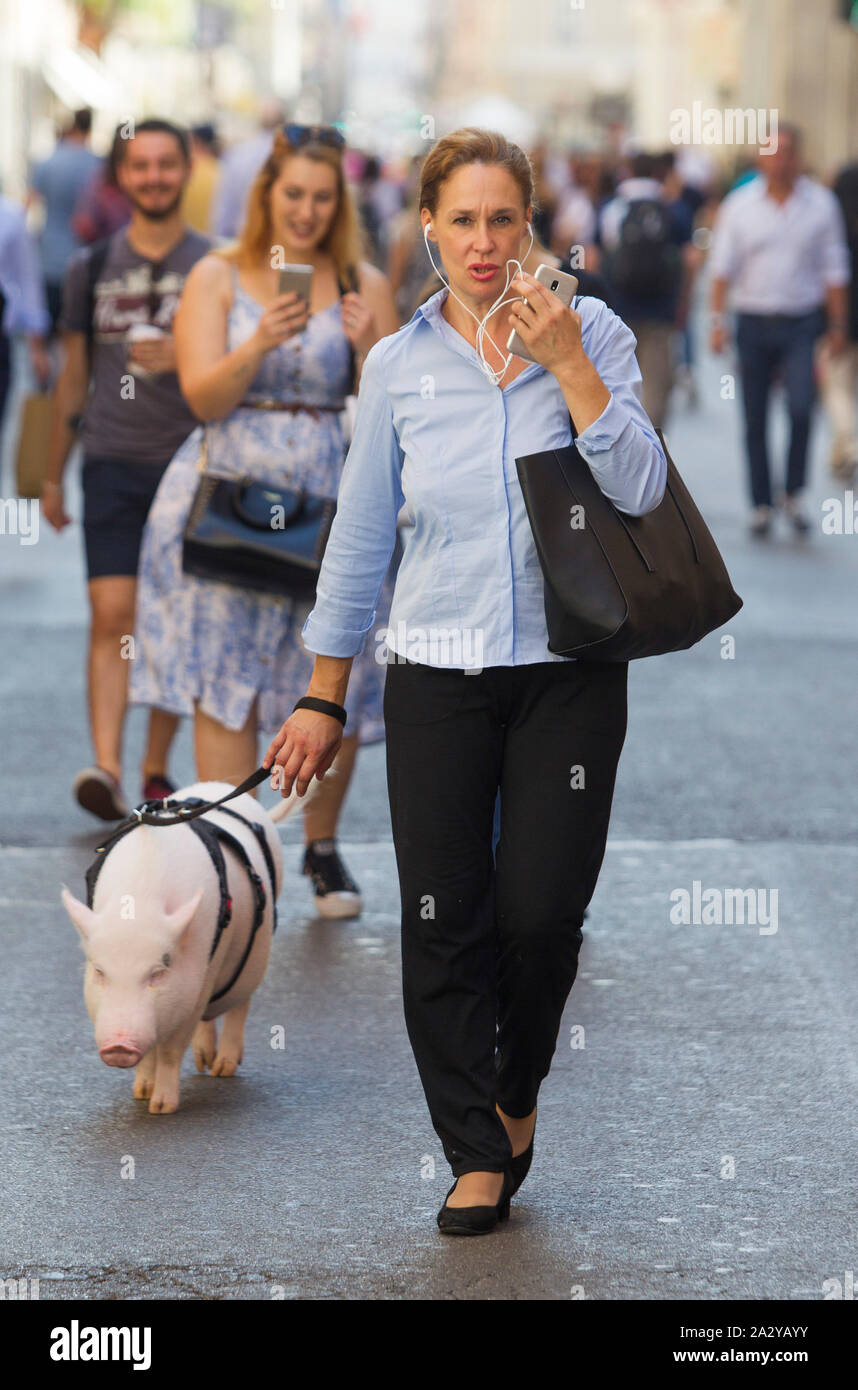 Rome, a woman walks in Via del Corso with a pig on a leash named Dior ...