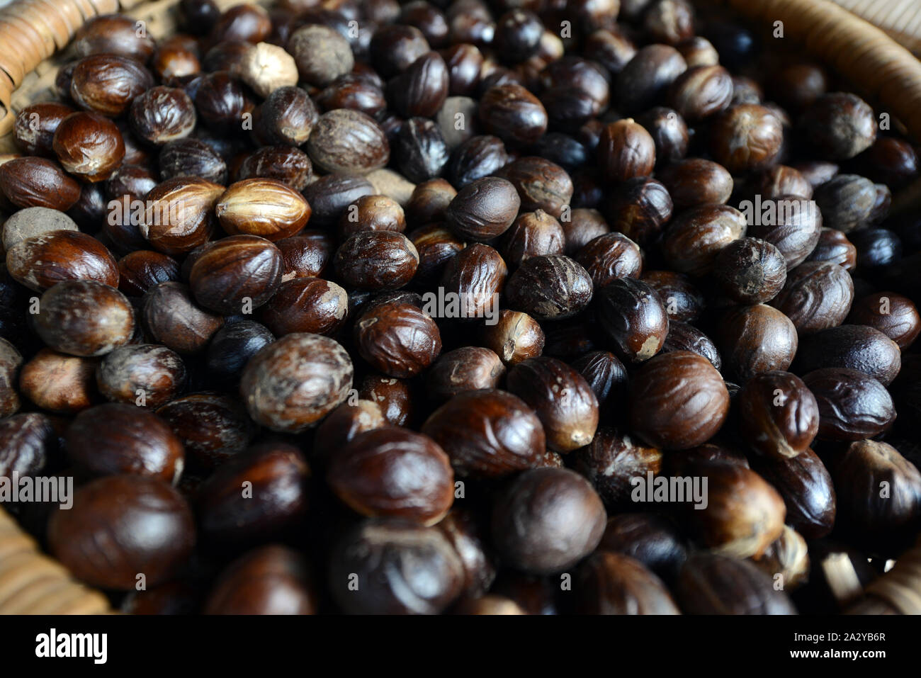 A basket of Nutmeg at a spice shop in Kerela, India. Stock Photo